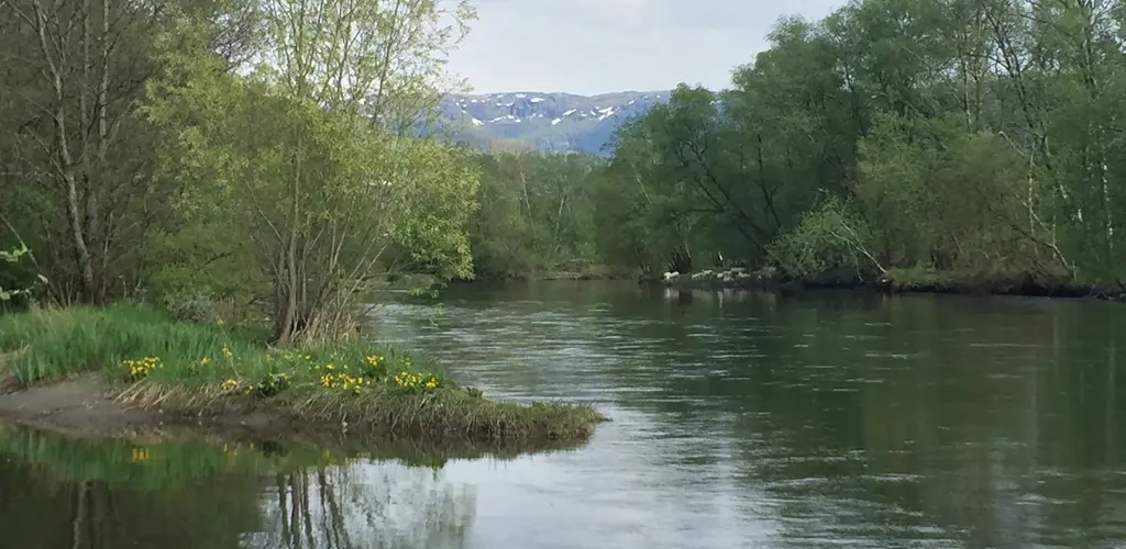 Fortsatt fiske etter midtsesongevaluering