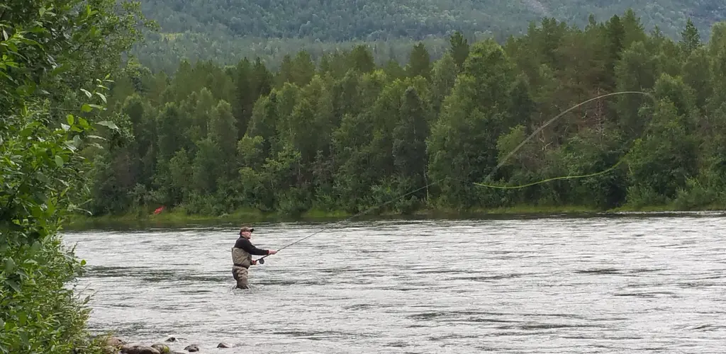 Målselva_fluefisker