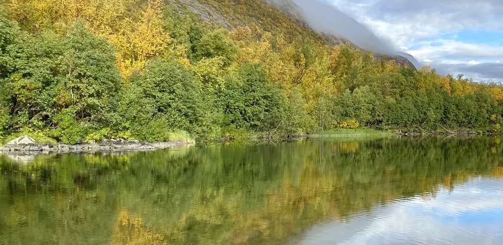 Bjørnekulpen september