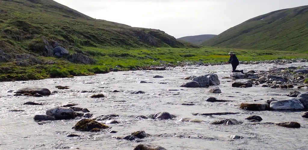 Storelva og laksefiske