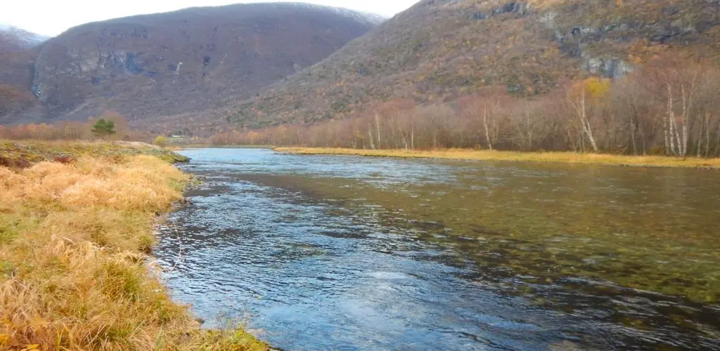 Lærdalselva