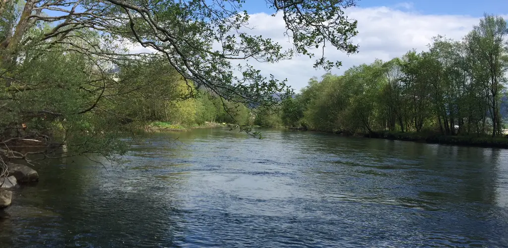 Årsmøte 2021 pandemi?