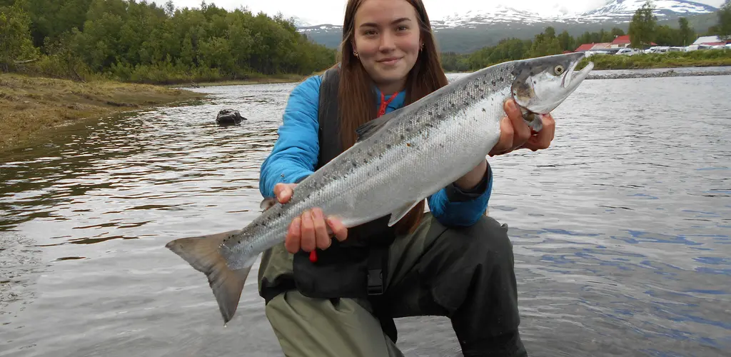 Målselv_2020_camp villaks_fangst