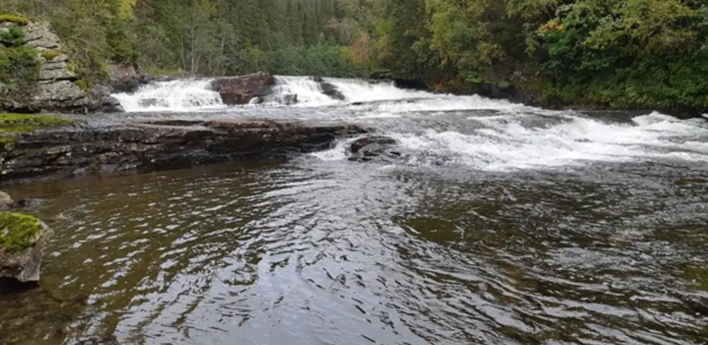 Håkaliforsen, som danner grense for oppgang av laks og sjøørret til delene av vassdraget som ligger ovenfor.