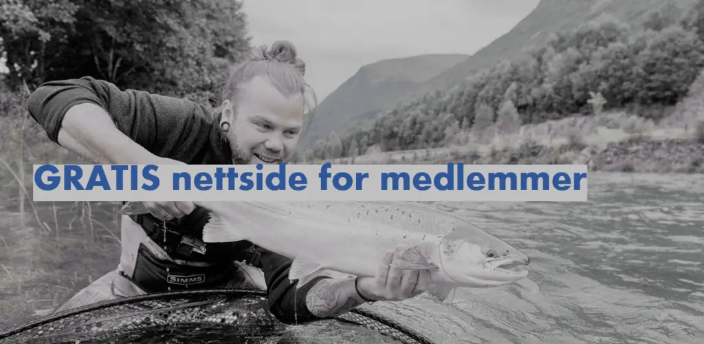 Nettside_blå.PNG