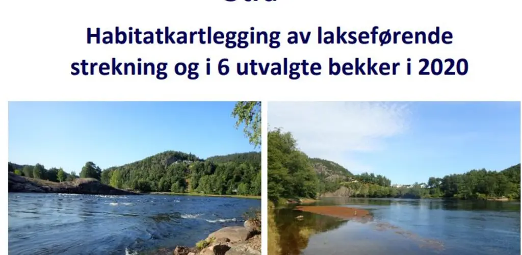 NORCE
