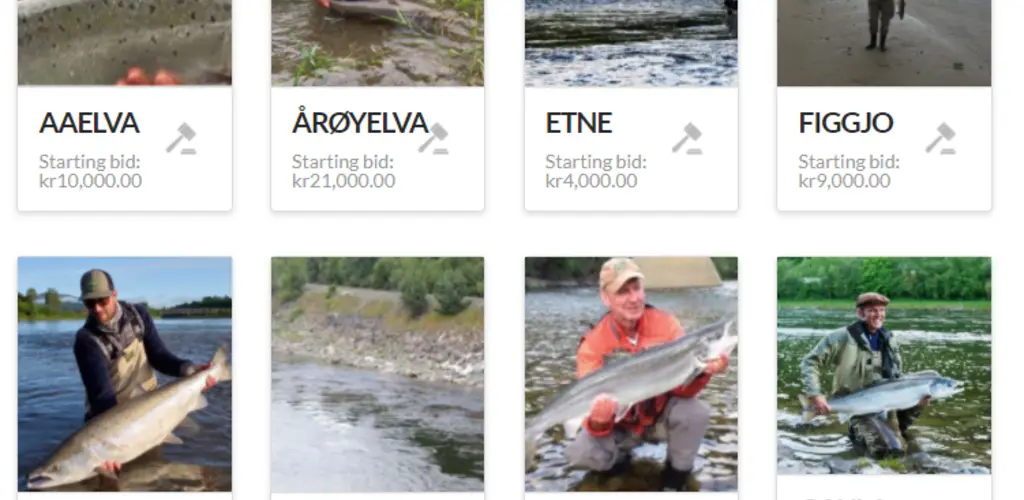 Villaksauksjonen 2021