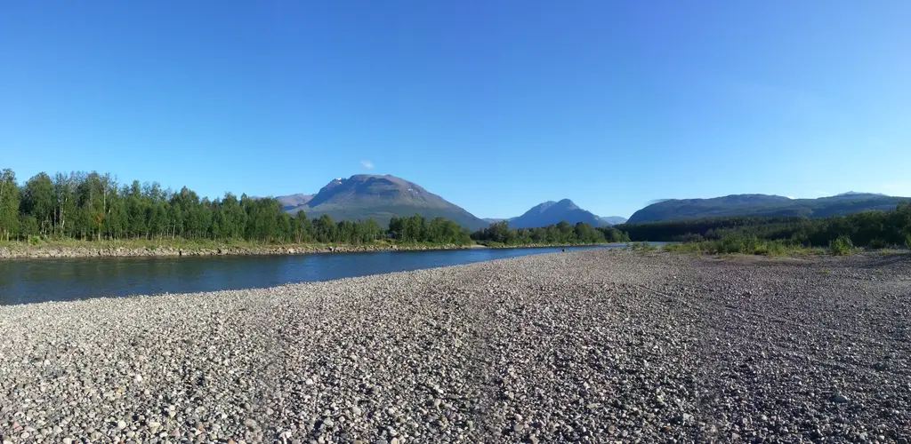 Laksefiske Målselva