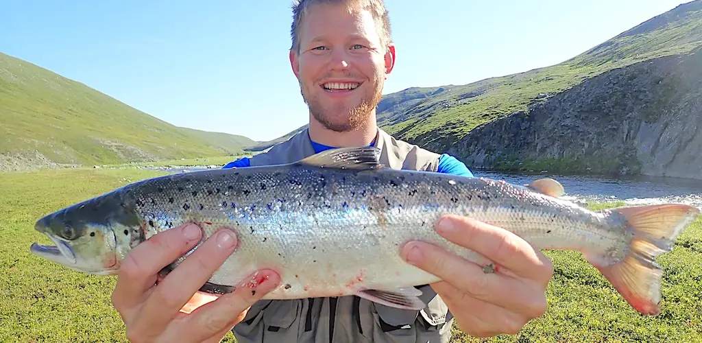 smålaks fra Storelva