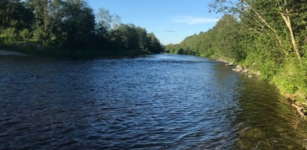 Lokkeflommer