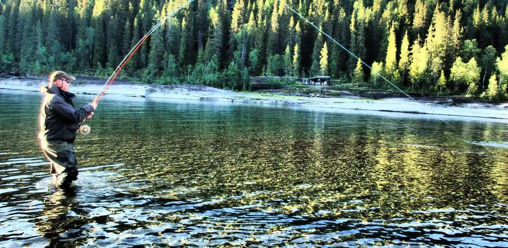 Fiske Meforsen