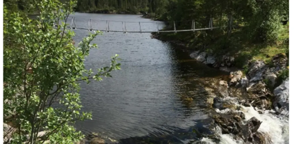 Sausvassdraget