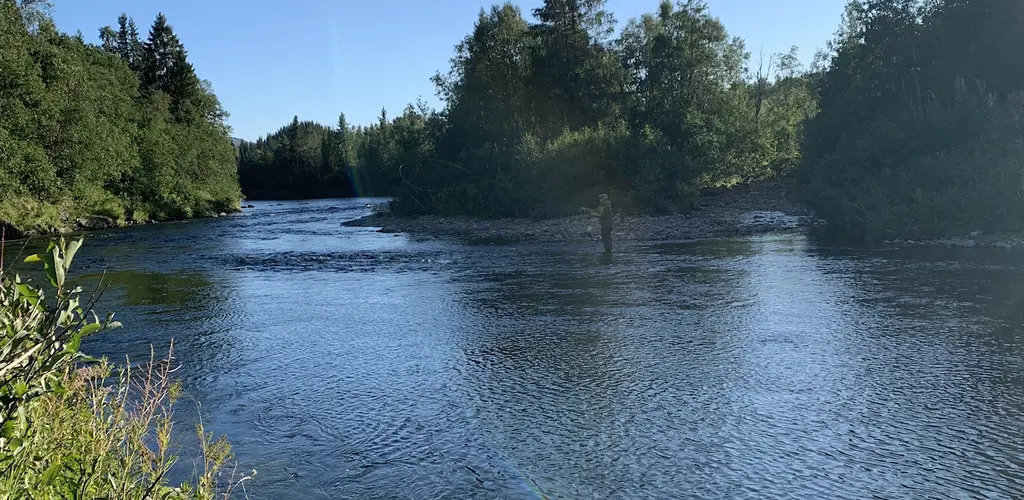 Drevjo_0311
