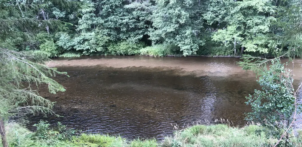 Storelva ripping 2021