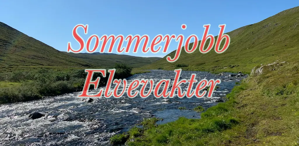 Vaktjobb