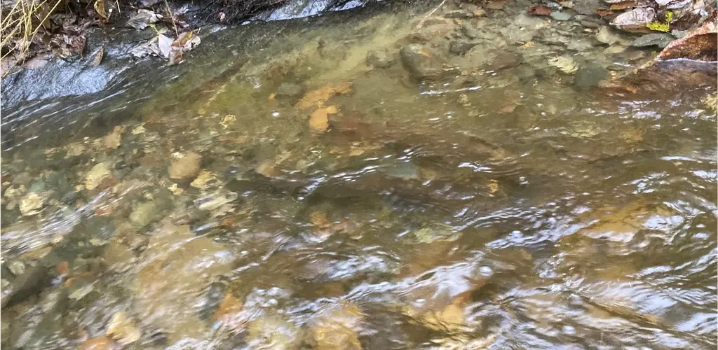 SVEL 4.1.9 Florbekken gyting