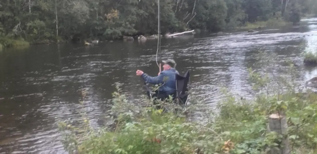 Drevja