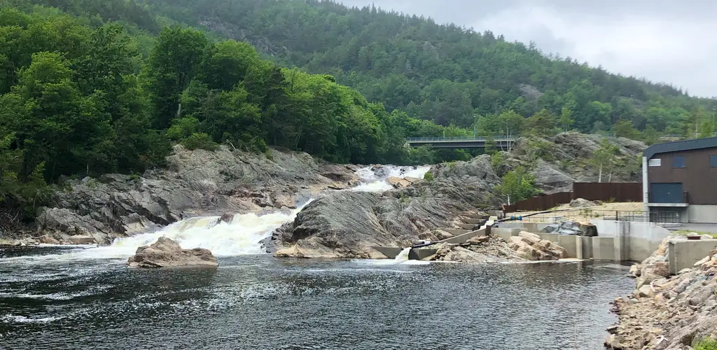 Foss Boen