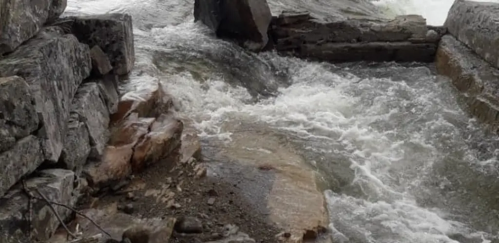 Åpning av Fellingfors laksetrapp 16.08.22