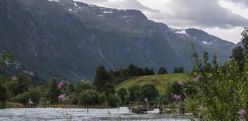 En fisker ved elva blant storslåtte fjell i bakgrunnen, og blomster i forgrunnen.