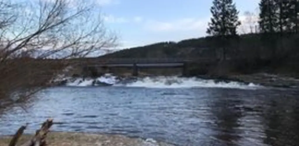 fiskekort
