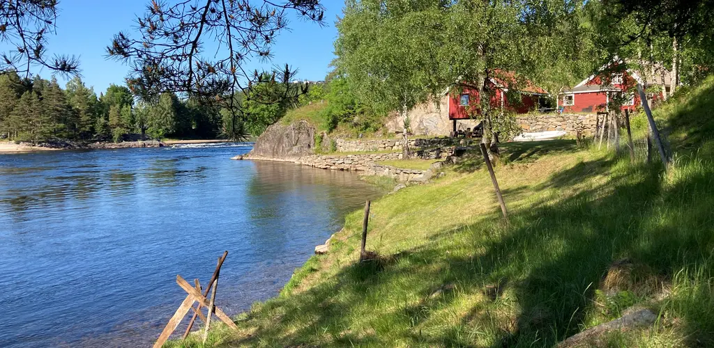 Holehaugen