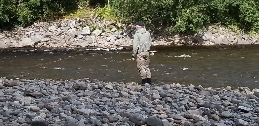 helgåa_verdalselva