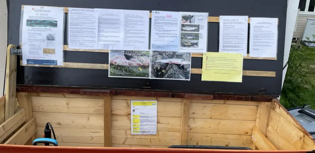 Desinfisering Målselva