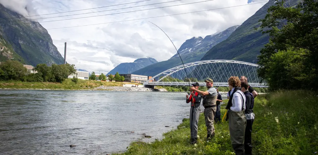 Villaksens dag i Driva