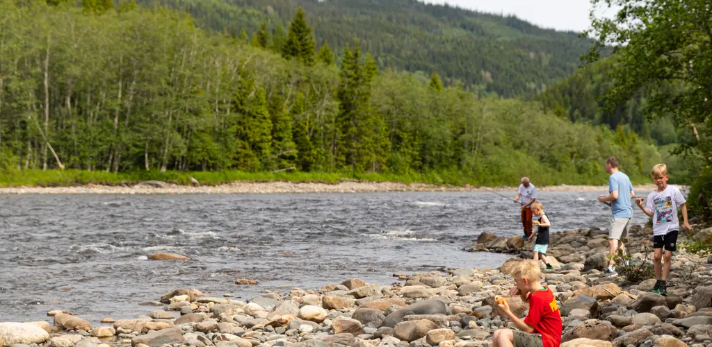 Villaksens dag i Stjørdalselva