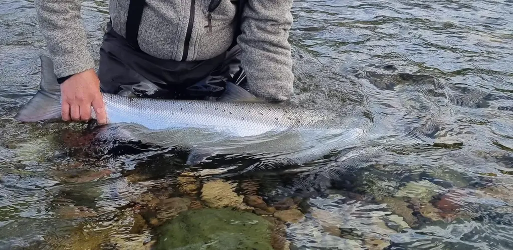 C&R Kongsfjordelva