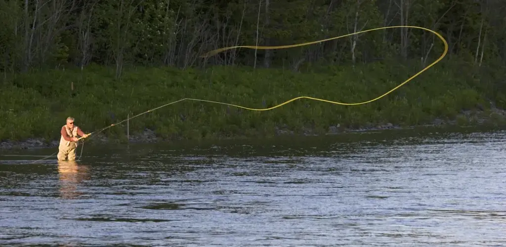 Fluefisker Verdalselva