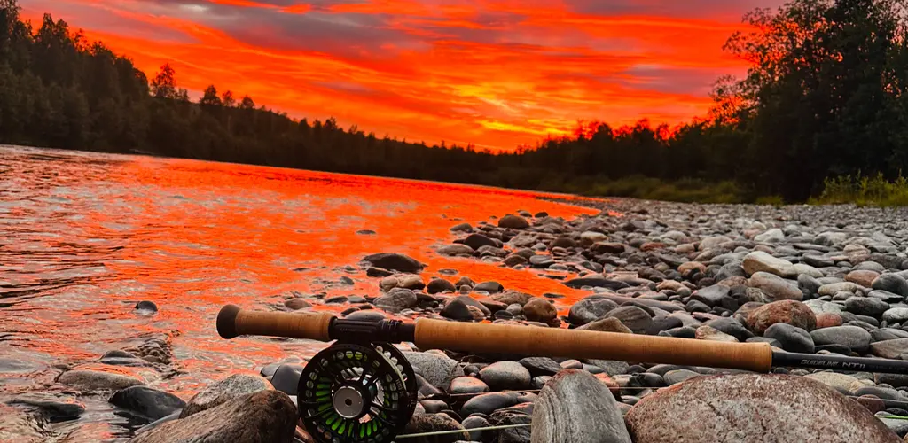 Fluestag i solnedgang