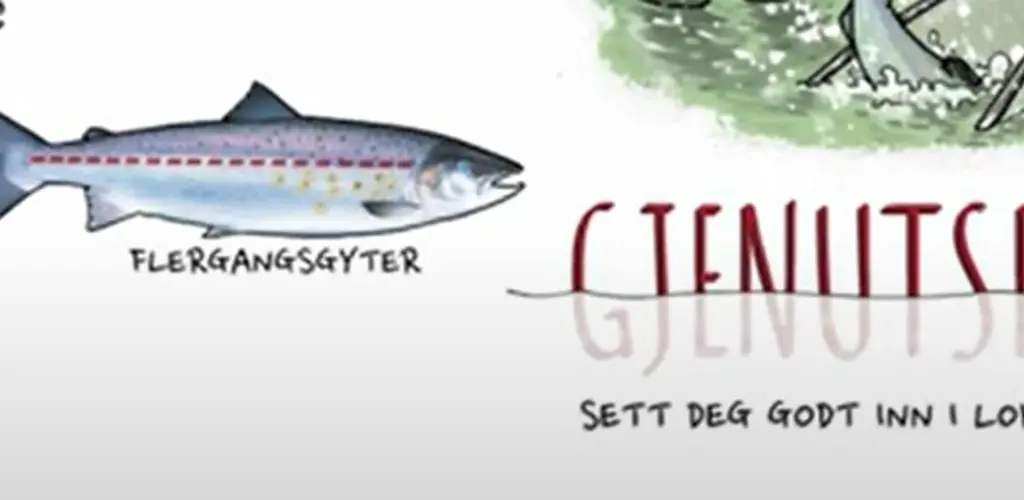 Gjenutsettelse
