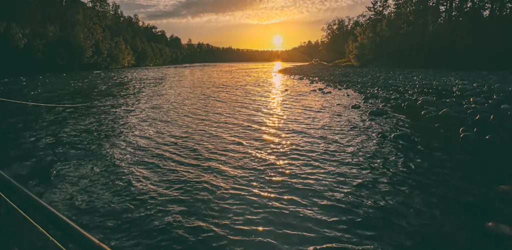 Solnedgang