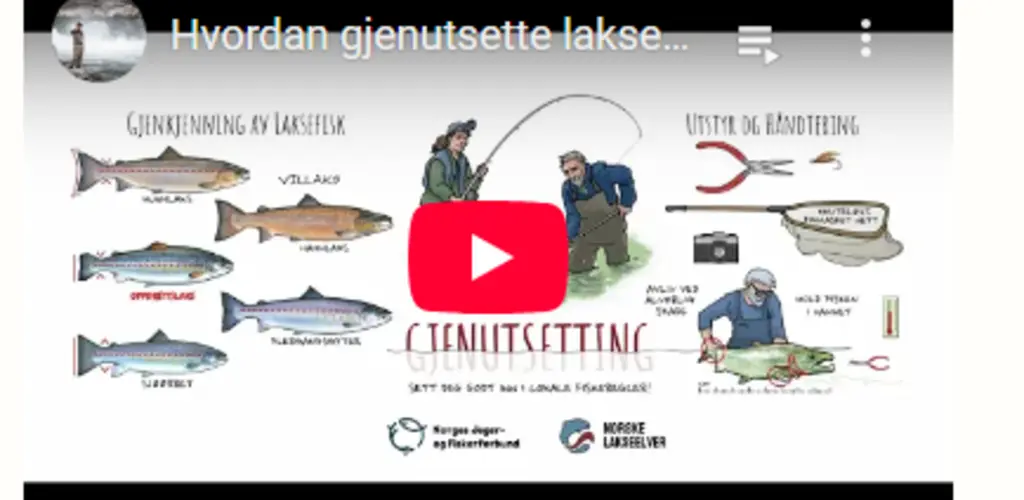 Gjenutsettingsfilm