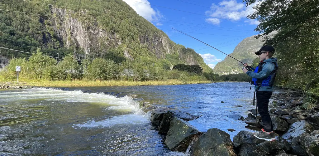 Ung fiskar langs elva