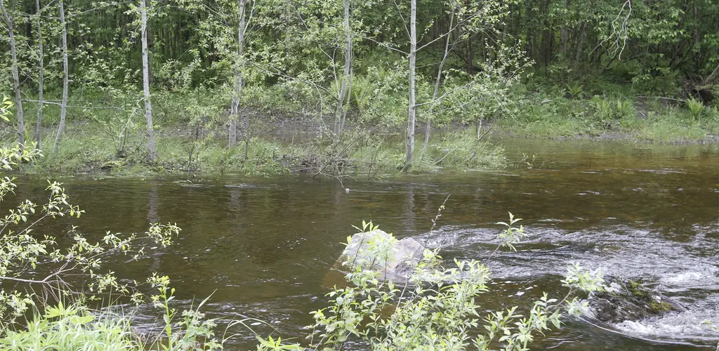 Stjørdalselva