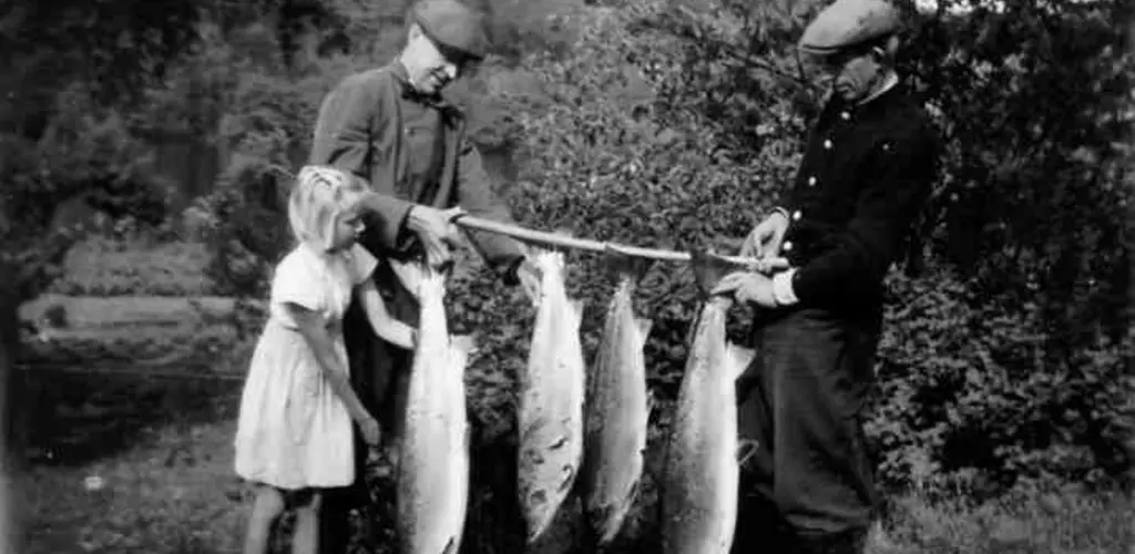 Historisk storlaks