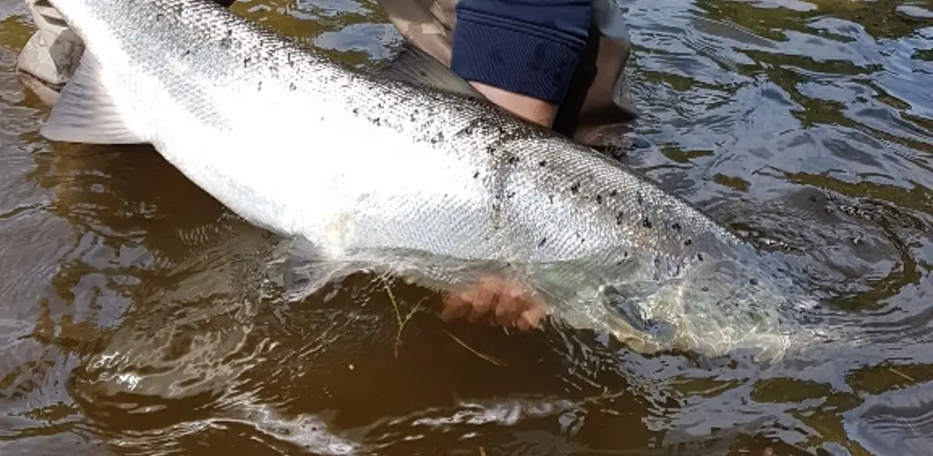 Bildetaging kan gjøres på denne måten