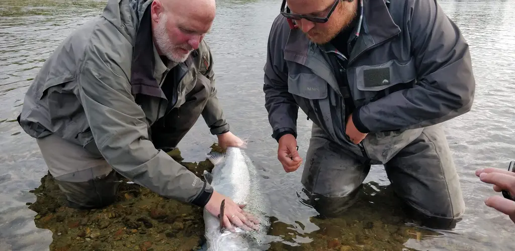 Nils-Arild Lundberg vant sesongkort for 2019 med dette flotte bidraget!