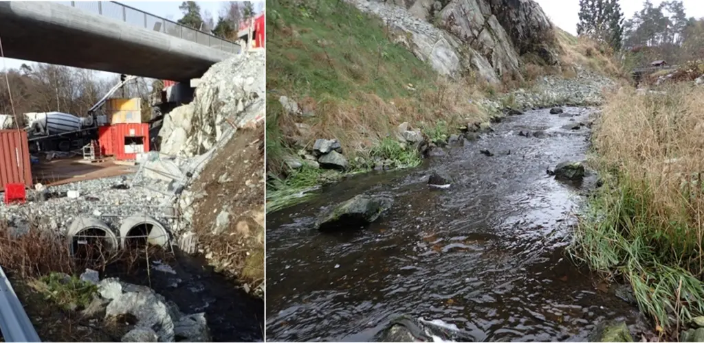 Gjenåpning av bekk - før og etter