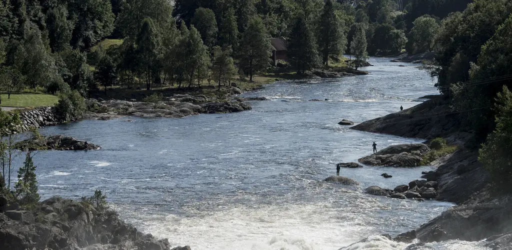 Boenfossen i Tovdalselva