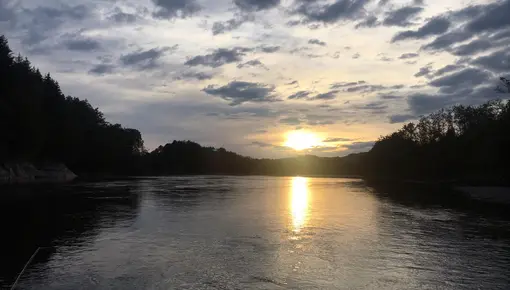 Sommerkveld ved elva