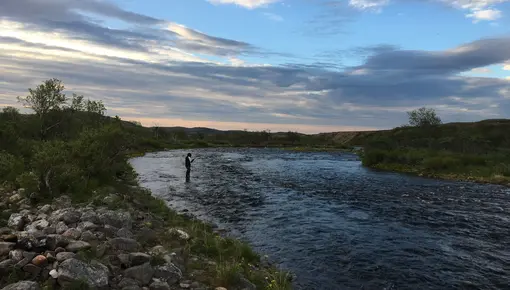 Kongsfjordelva_2019.JPG