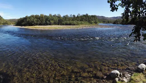 Repokoski_Lakselva