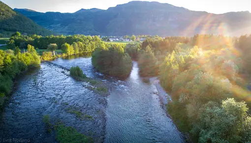 årdalselva