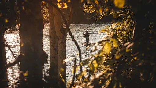 Framleis stengt for fiske