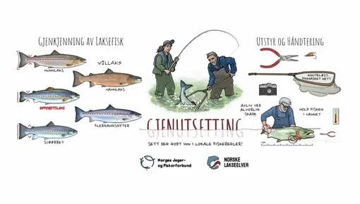 Gjennutsetting_verdalselva