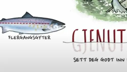Gjenutsettelse